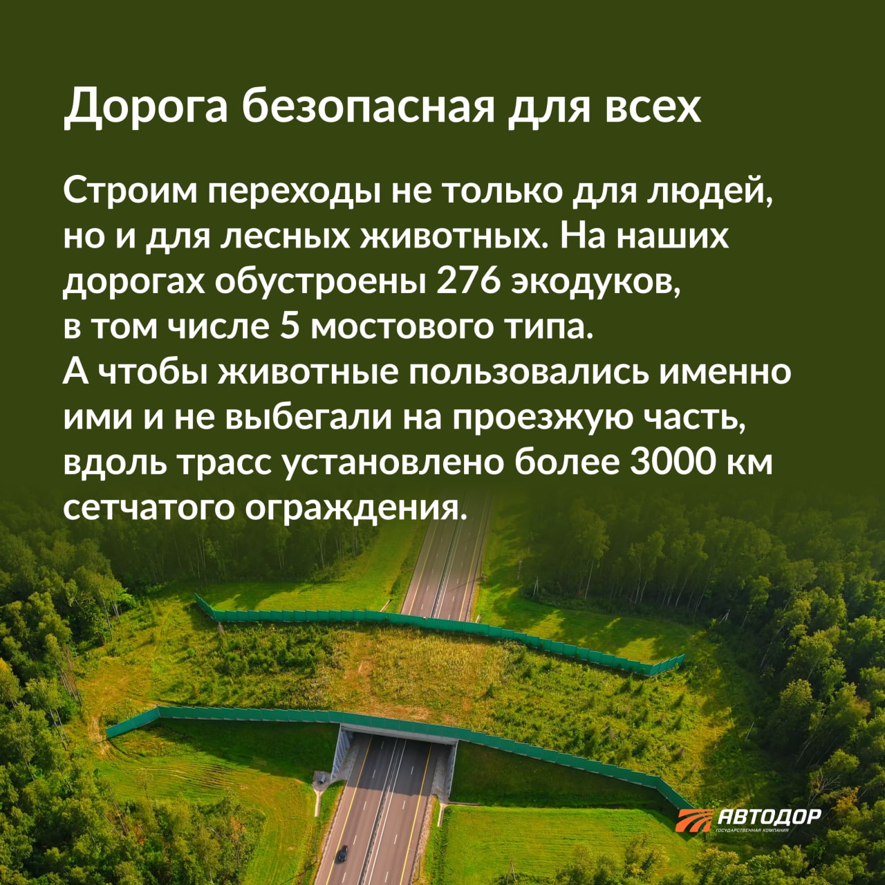 Безопасность на дороге включает целый комплекс элементов, которые работают в связке друг с другом.Например, строительство над...