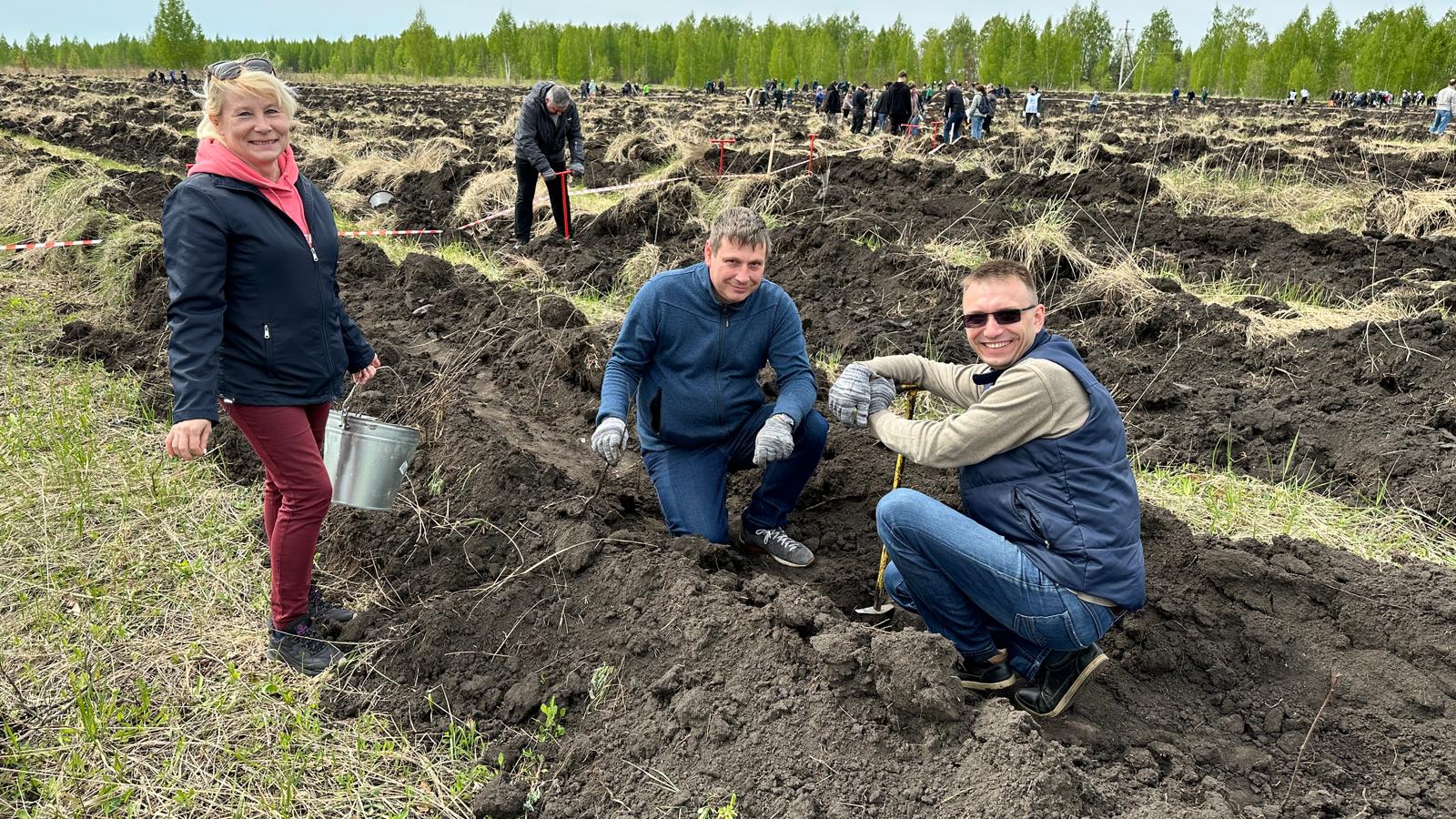 Нагляднее всего разницу между старыми и новыми мостовыми конструкциями видно снизу. Слева – новые пролетные балки, опорные ча...