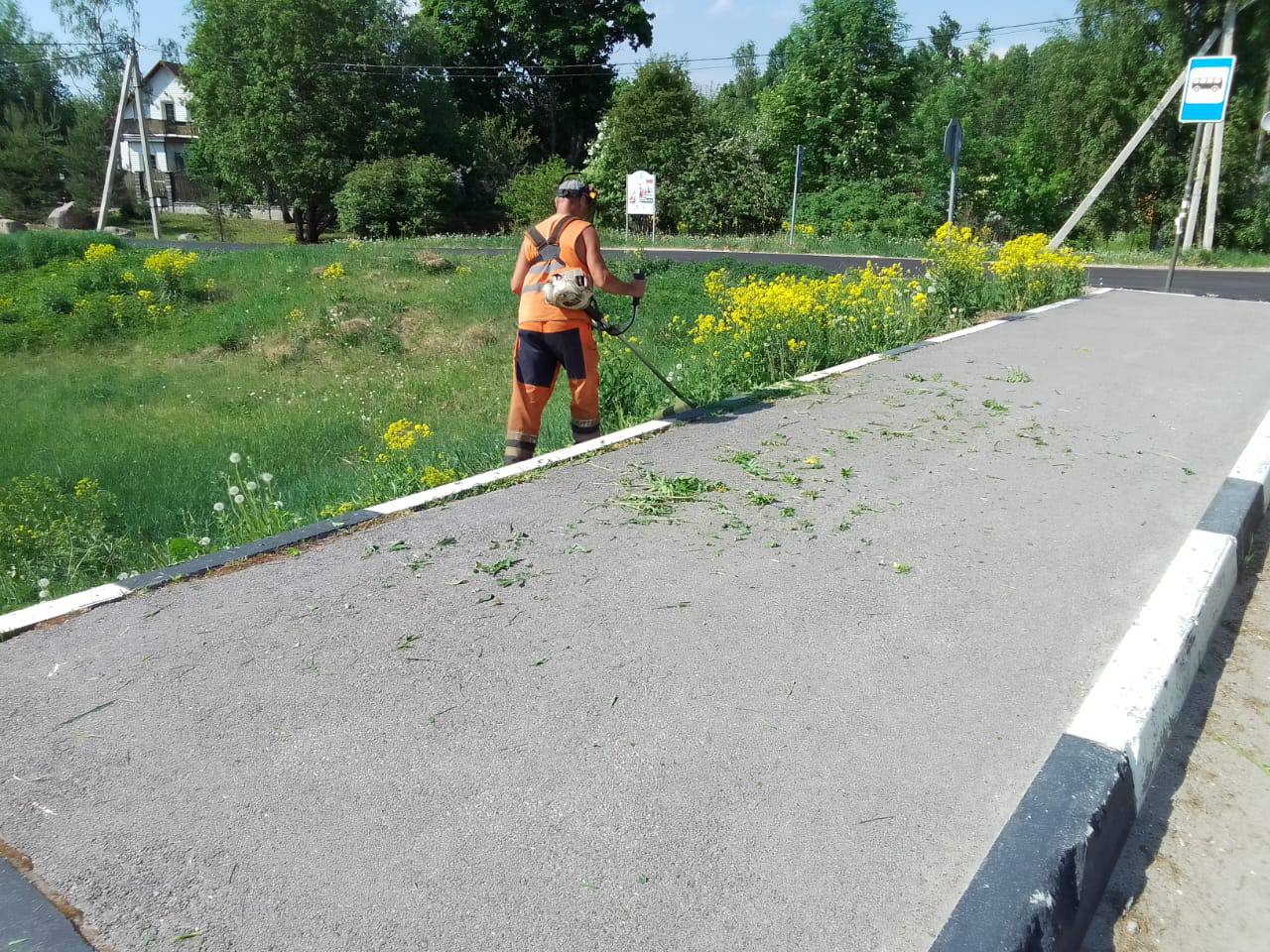 С начала июня выполняем план по содержанию остановочных павильонов во всех районах Ленобласти: ремонт, покраска бортового кам...