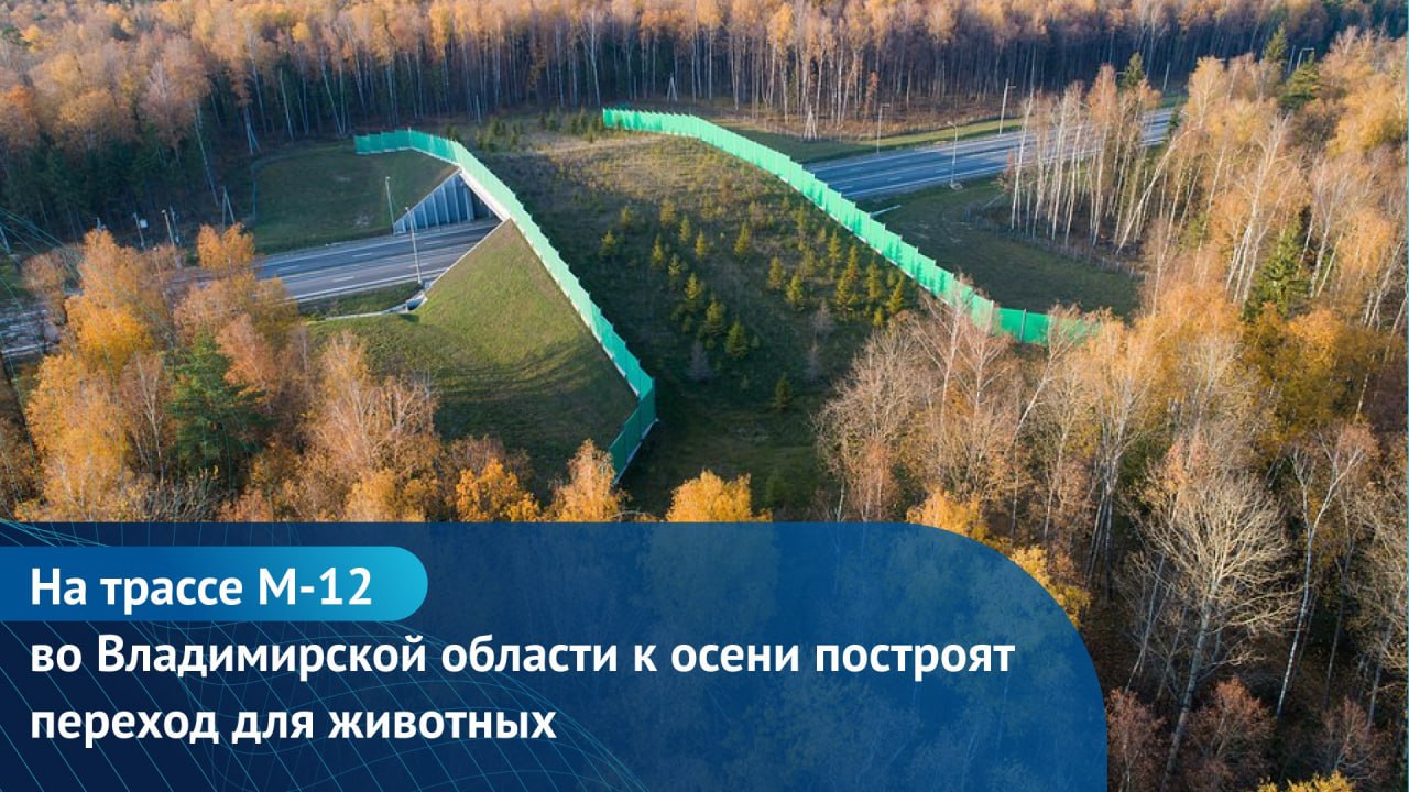 На строящемся участке скоростной магистрали М-12 «Москва - Нижний Новгород – Казань» ведется сооружение экодука. Надземный пе...