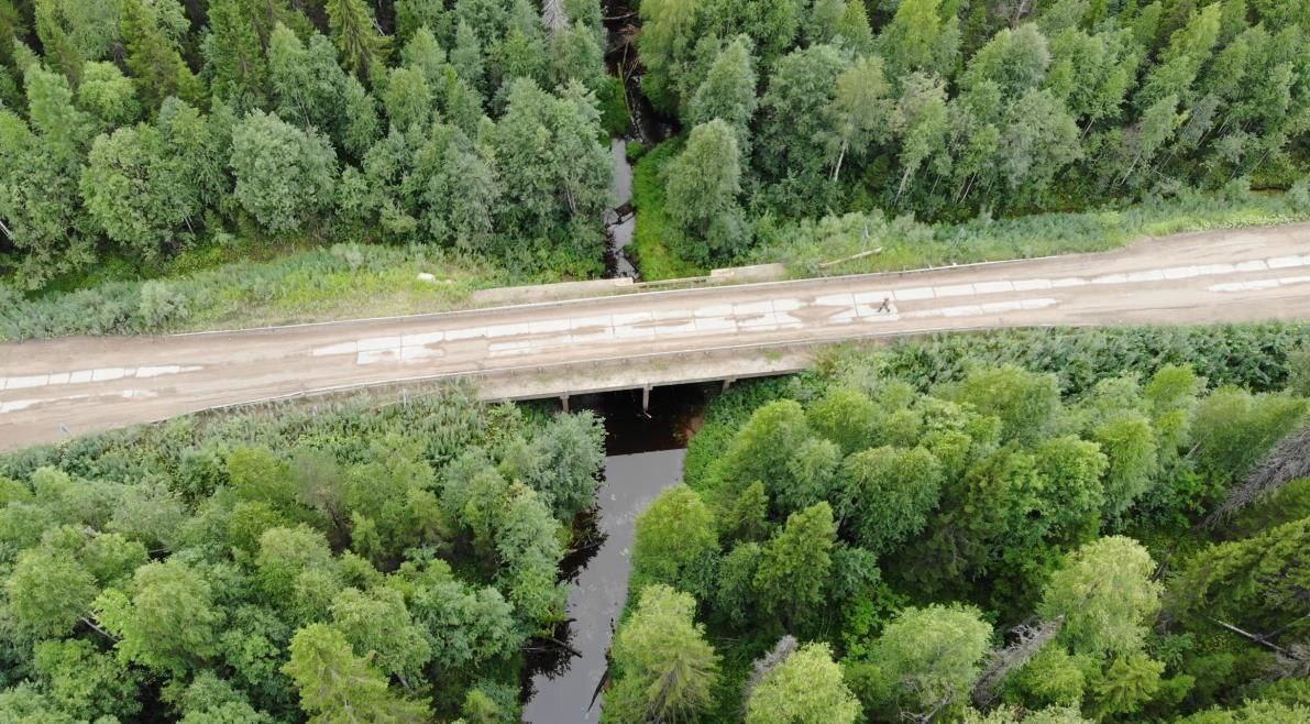 В Поморье стартовали работы на трех объектах президентского нацпроекта «Безопасные качественные дороги» В Холмогорском округе...