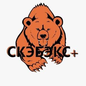 ООО "Скэбэкс +" 