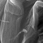 Отечественные нанотрубки улучшат свойства бетона