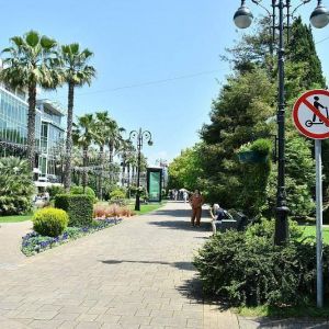 В Сочи ремонт по нацпроекту «Безопасные качественные дороги» ведется с учетом требований доступной среды  На курорте пятый го...