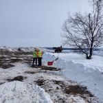 14 марта в Нижнем Новгороде началось строительство дублера проспекта Гагарина. Новая четырехполосная автодорога, по две полос...