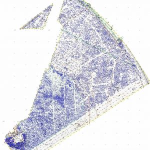 ИЦММ возможно применять для:  • BIM-проектирования; • вертикальной планировки участка по заданным параметрам; • разработки ра...