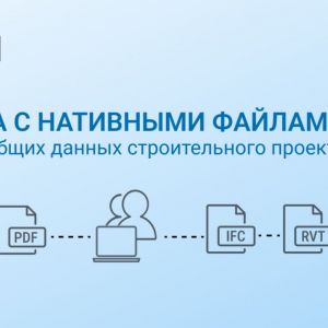 Работа с нативными файлами в среде общих данных строительного проекта. Проблемы и решения  Возможность изменять содержание до...