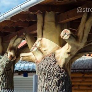 Причины возникновения дефектов в деревянных конструкциях: применение некачественных строительных материалов; перегрузка кон...