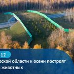 На строящемся участке скоростной магистрали М-12 «Москва - Нижний Новгород – Казань» ведется сооружение экодука.   Надземный...